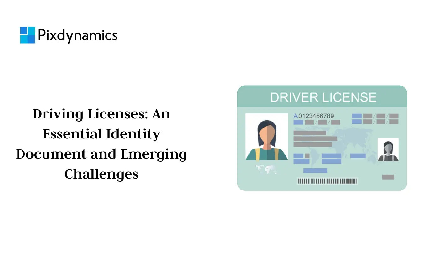 driving license online